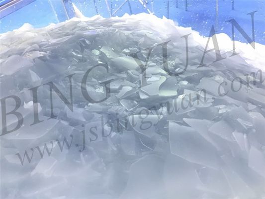 500kg de alta calidad por la máquina de hacer hielo de la escama automática de la nieve del día