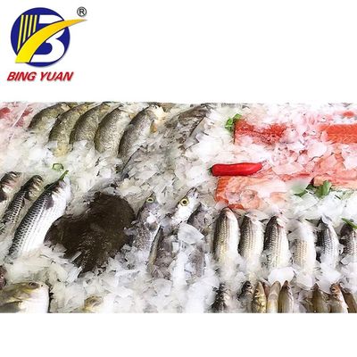 Máquina de hielo de la escama de la nieve de Yixing ICS del alto rendimiento en el barco de pesca