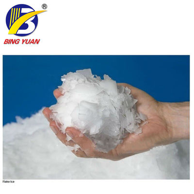 SUS304 380 máquina del fabricante de hielo de la escama de voltio R22 10T, máquina de hielo de la escama para los pescados