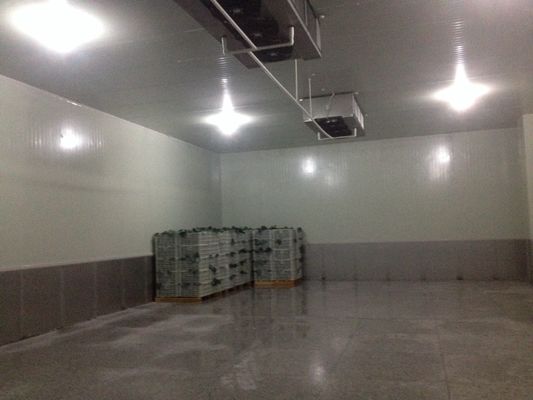 unidades de refrigeración más frescas de 20m2 R404A, pequeña conservación en cámara frigorífica